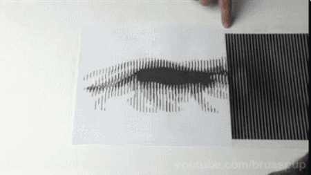 35 illusions d&#8217;optique incroyables qui vont déformer votre perception de la réalité
