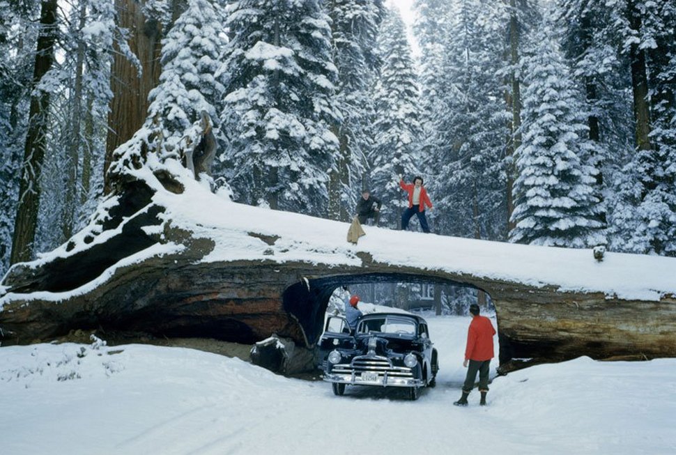 25 photos inédites des archives du National Geographic ! Par Janvier Doyon Photos-archives-national-geographic-16