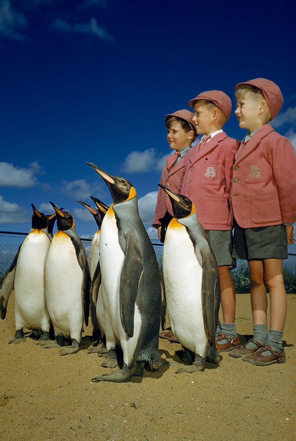 25 photos inédites des archives du National Geographic ! Par Janvier Doyon Photos-archives-national-geographic-17