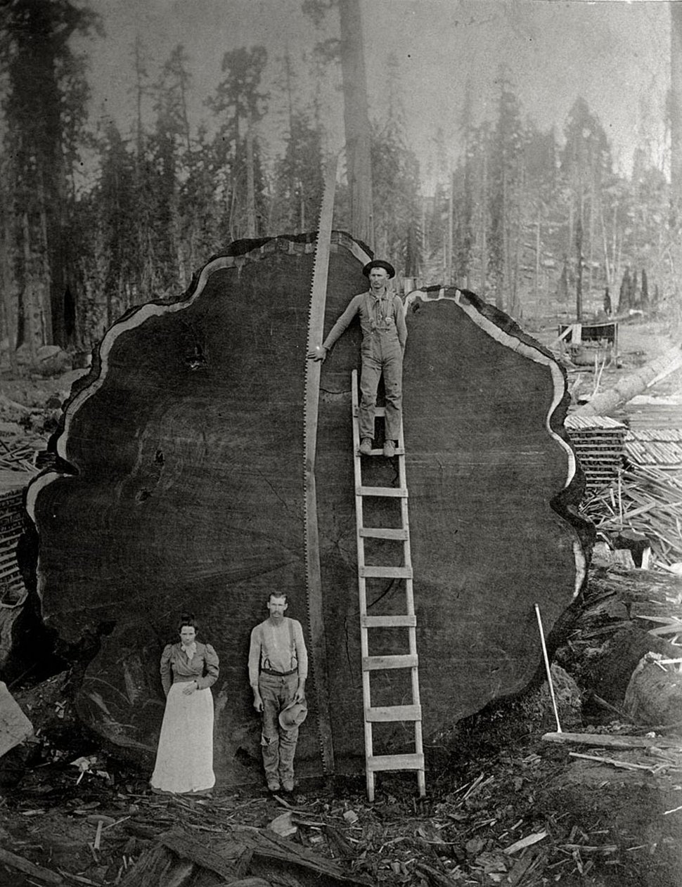 25 photos inédites des archives du National Geographic ! Par Janvier Doyon Photos-archives-national-geographic-19