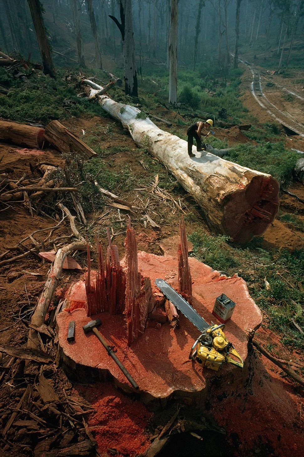 25 photos inédites des archives du National Geographic ! Par Janvier Doyon Photos-archives-national-geographic-26