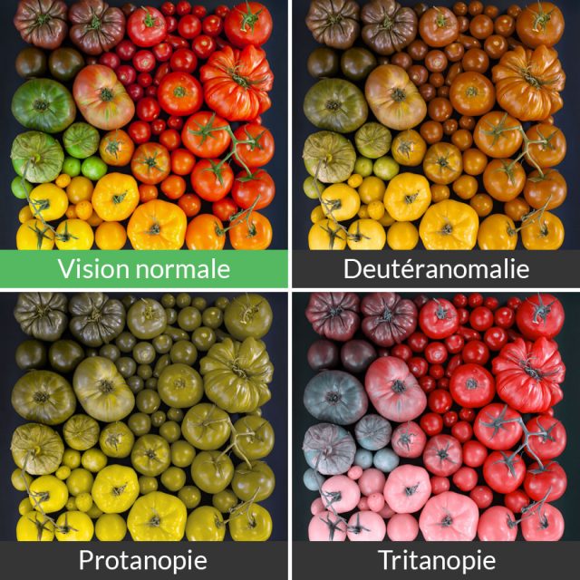 Vous serez étonné de découvrir comment les daltoniens voient le monde