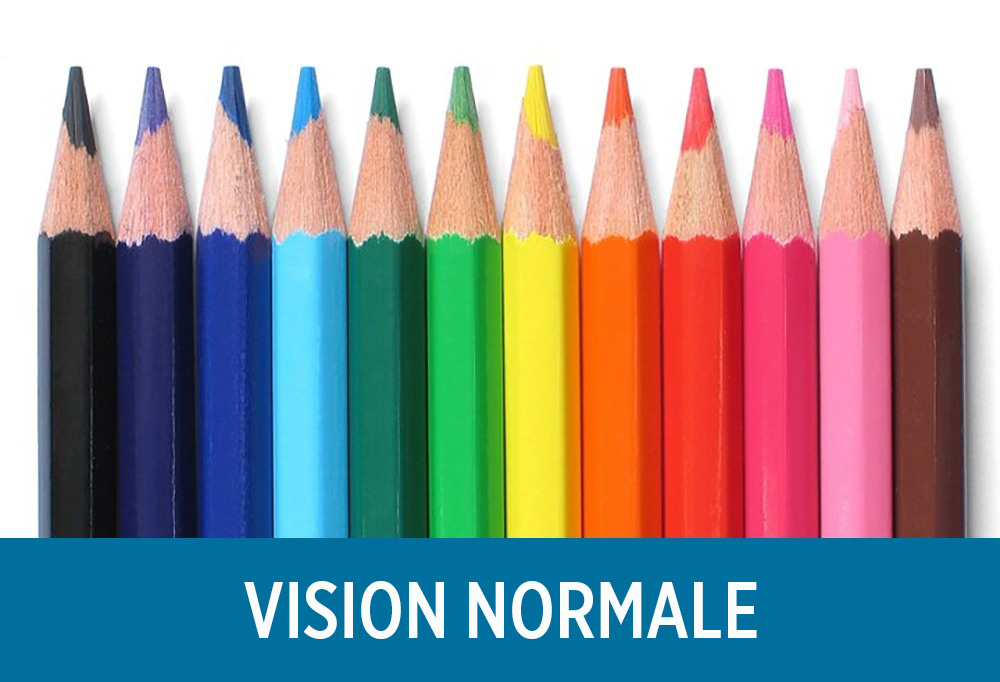 Vous serez étonné de découvrir comment les daltoniens voient le monde (11 images)