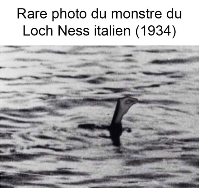 Voici des blagues sur les Italiens qui vont vous faire rire ipnoze