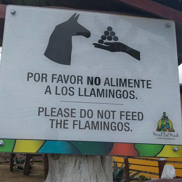 30 erreurs de traduction qui vont vous faire rire