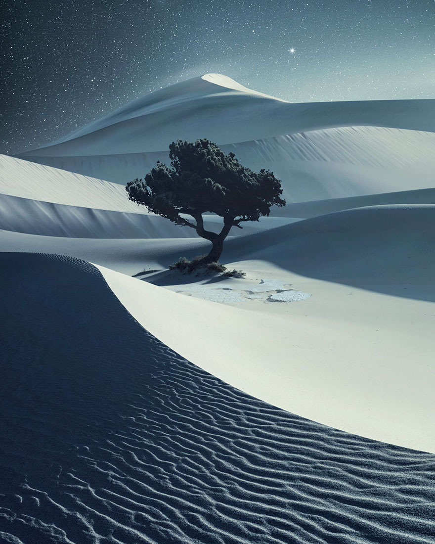 Voici les 11 photographes qui ont remporté un prestigieux Hasselblad Masters Award en 2018