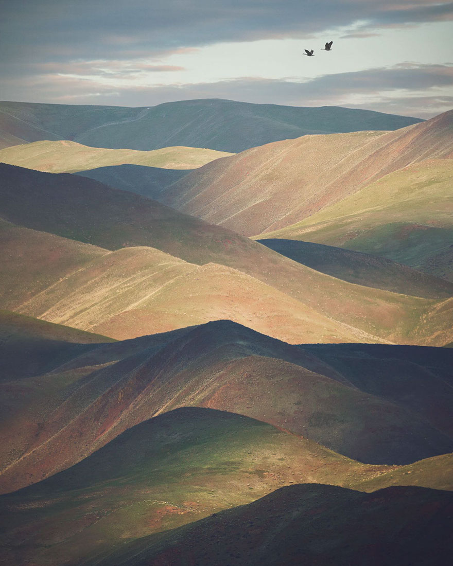Voici les 11 photographes qui ont remporté un prestigieux Hasselblad Masters Award en 2018
