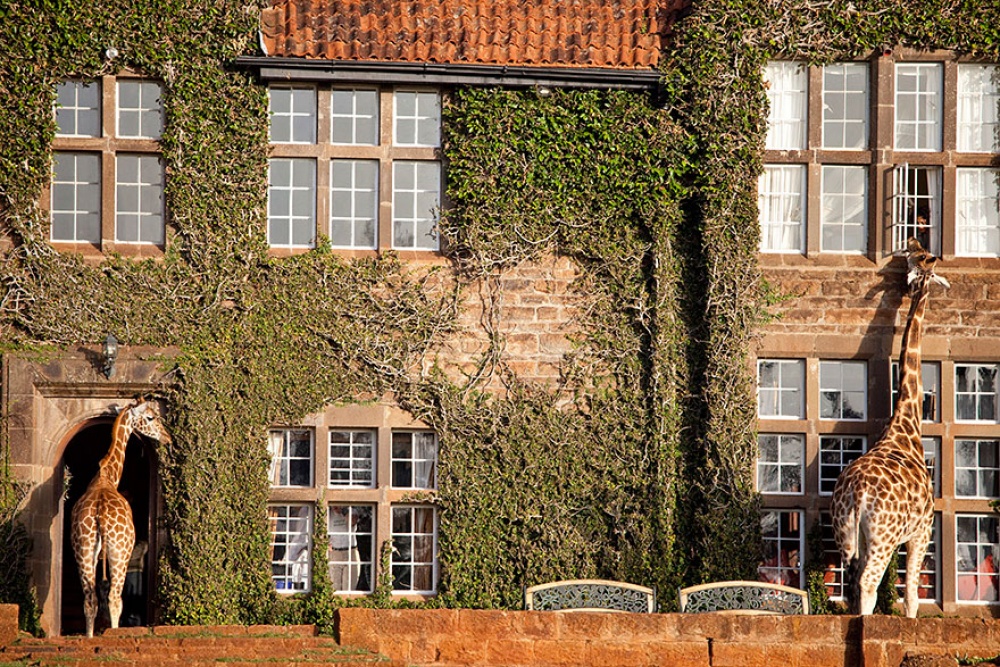 23 hôtels incroyables qui vous donneront envie de réserver une chambre immédiatement