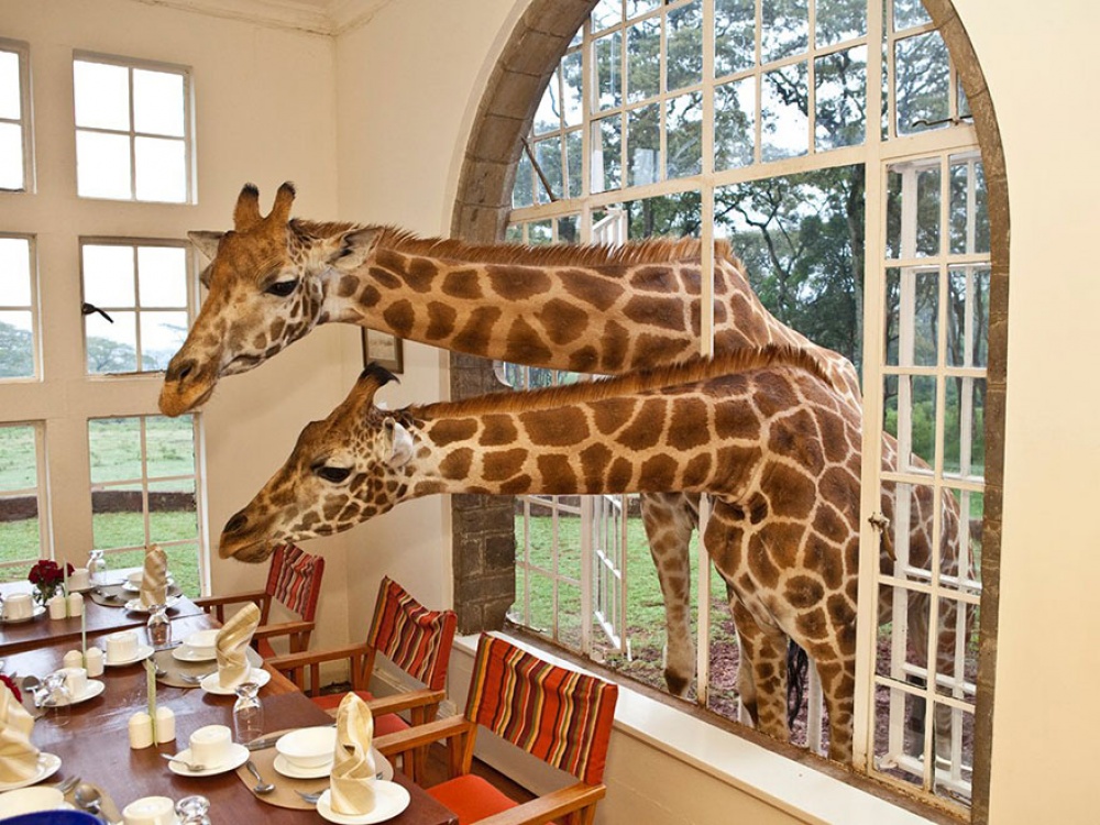 23 hôtels incroyables qui vous donneront envie de réserver une chambre immédiatement
