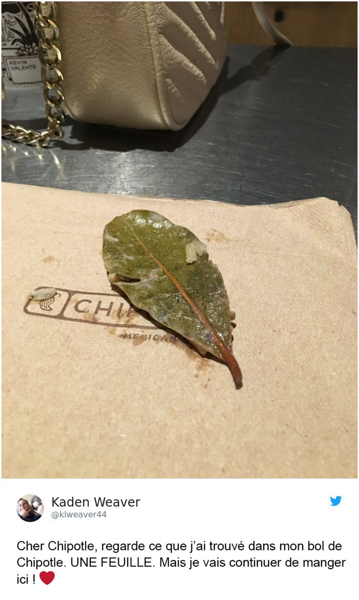 10 fois où des gens ont trouvé des feuilles étranges dans leur nourriture et s’en sont plaints sur Internet