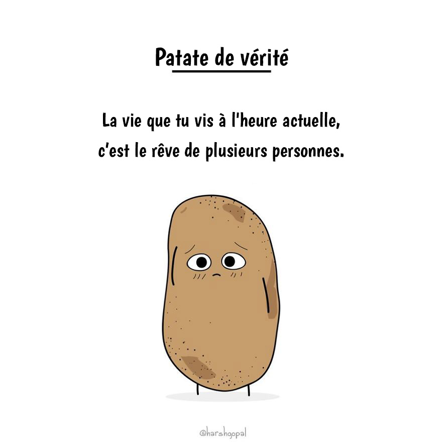 10 vérités amères par la patate de vérité qui vont te faire réfléchir