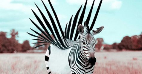 Un artiste français crée des animaux fantastiques à l’aide de Photoshop, et le résultat est incroyable