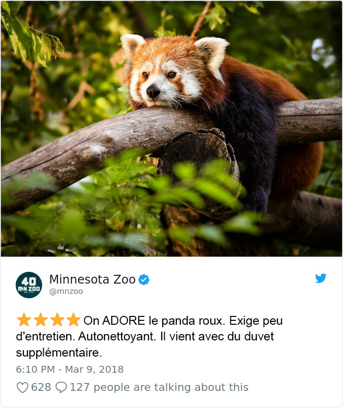 Des zoos publient des commentaires au sujet de leurs animaux comme sur Amazon et c’est à mourir de rire