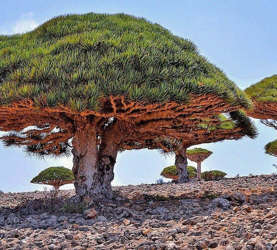20 endroits incontournables où la nature s’est déchaînée sur les paysages