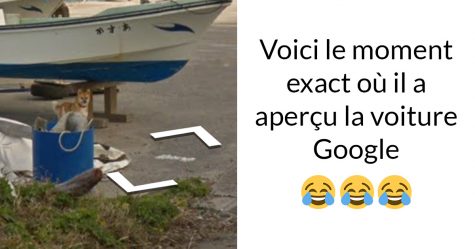 Un chien suit la voiture Google Street View et « ruine » chacune des photos de façon hilarante