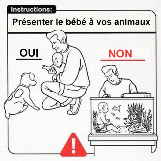 23 Astuces Hilarantes Pour Apprendre A S Occuper D Un Bebe Ipnoze 23 Astuces Hilarantes Pour Apprendre A S Occuper D Un Bebe Ipnoze