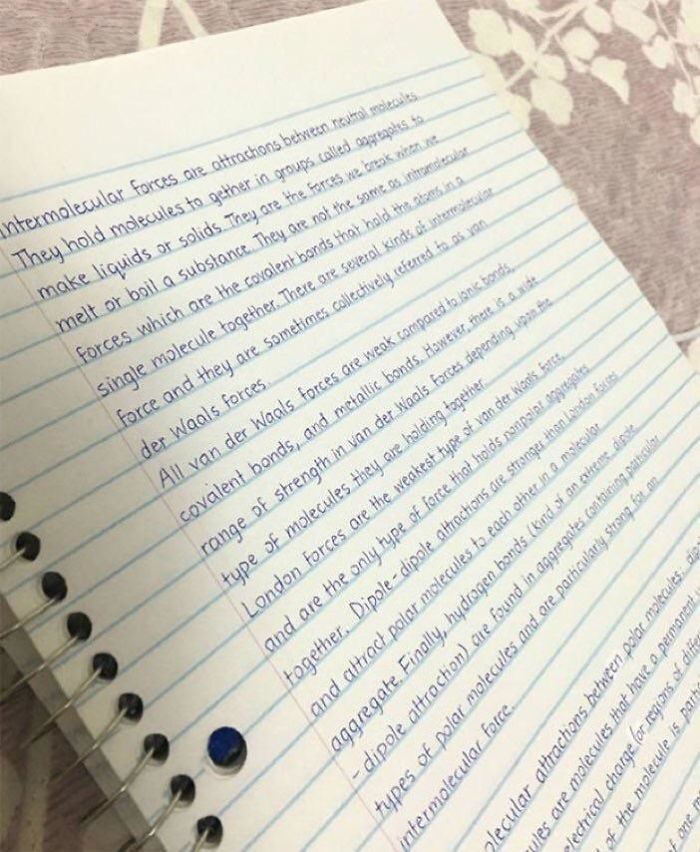 20 fois où des gens ont trouvé des exemples d’écriture si parfaite qu’ils n’ont pu s’empêcher de les partager (nouvelles images)