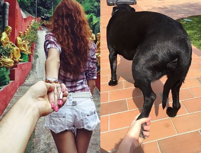 Ce gars a attiré plus de 1 400 000 fans sur Instagram en se moquant des photos de célébrités