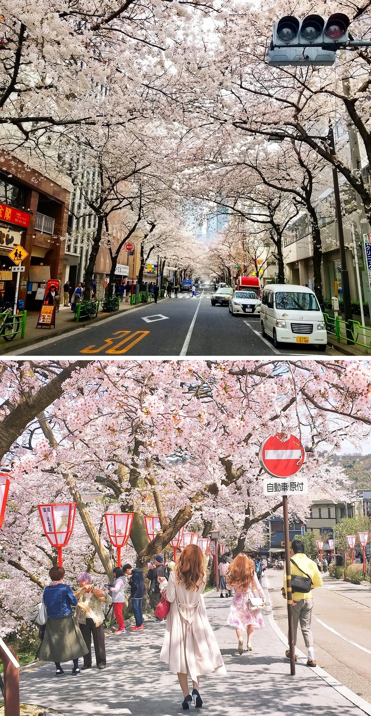 12 fois où le Japon a prouvé qu’il est un pays d’une autre planète