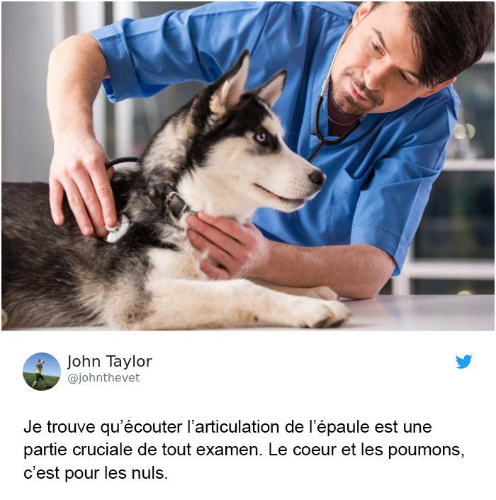 Des gens partagent des photos commerciales hilarantes de leurs emplois et vous serez mort de rire quand vous trouverez le vôtre