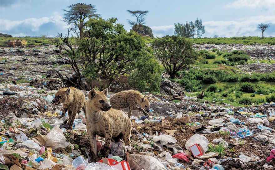 20 images percutantes sur la pollution plastique qui vont vous faire réfléchir