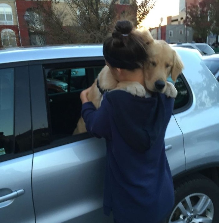 25 fois où des chiens ont montré leur amour inconditionnel à leurs humains