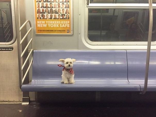 22 fois où des gens ont dû y regarder à deux fois pour comprendre ce qu’ils voyaient dans le métro