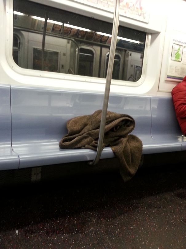 22 fois où des gens ont dû y regarder à deux fois pour comprendre ce qu’ils voyaient dans le métro