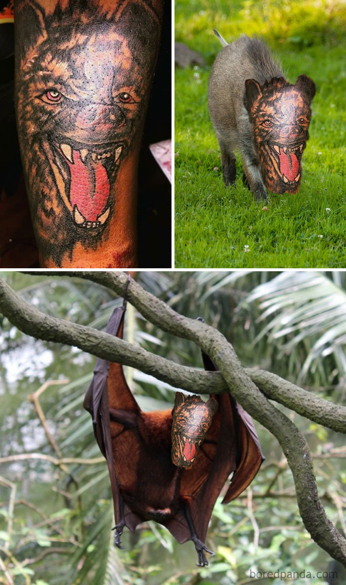 On a échangé 33 tatouages avec des visages pour te montrer à quel point ils sont affreux