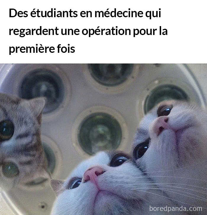 Ces 15 blagues de médecins sont le meilleur remède si vous avez besoin de rire (certaines sont vraiment glauques)