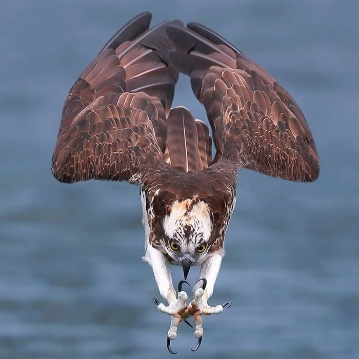 25 photos parfaites qui vont faire jubiler même les plus grands photographes