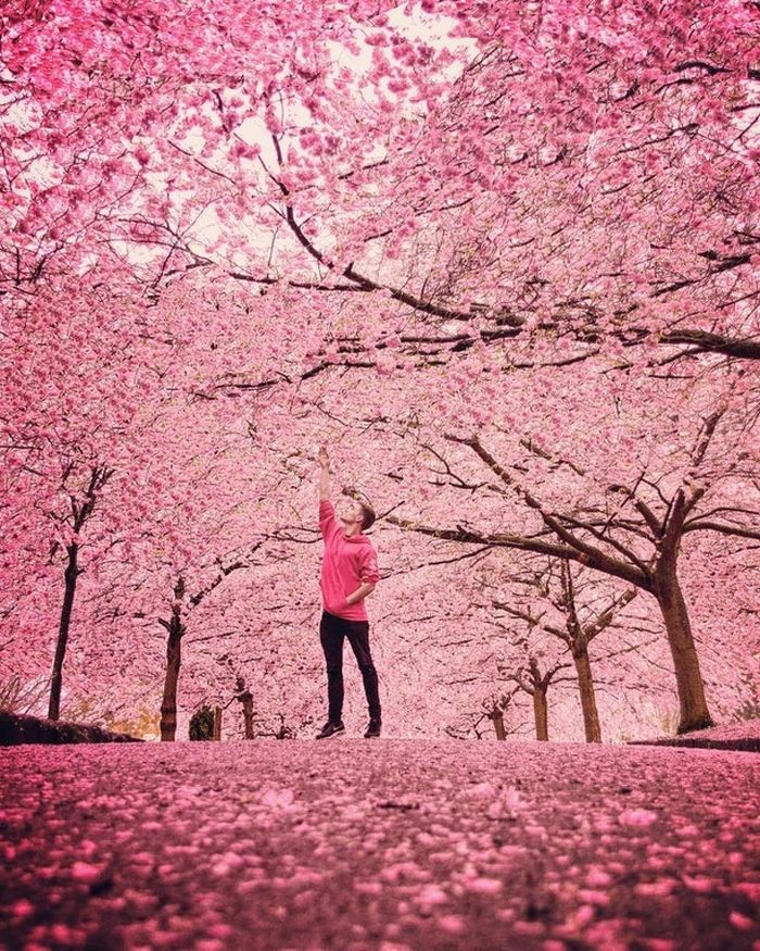 25 photos parfaites qui vont faire jubiler même les plus grands photographes