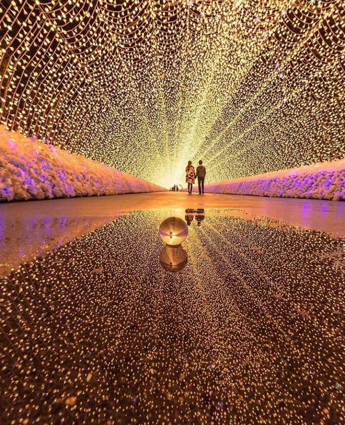 25 photos parfaites qui vont faire jubiler même les plus grands photographes
