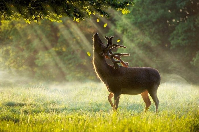 25 photos parfaites qui vont faire jubiler même les plus grands photographes