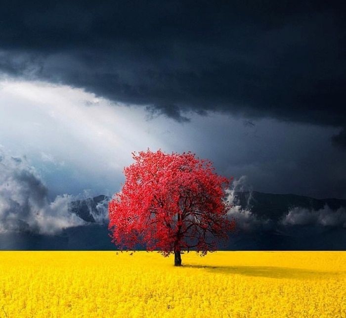 25 photos parfaites qui vont faire jubiler même les plus grands photographes