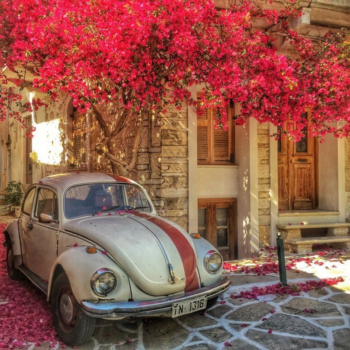 25 photos parfaites qui vont faire jubiler même les plus grands photographes