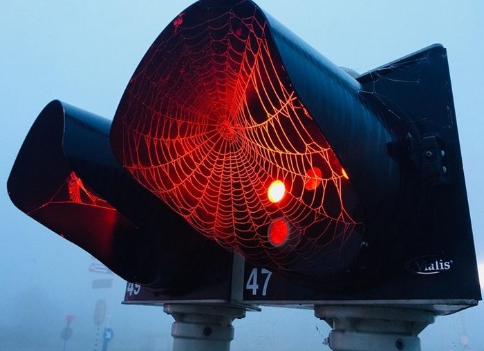 25 photos parfaites qui vont faire jubiler même les plus grands photographes