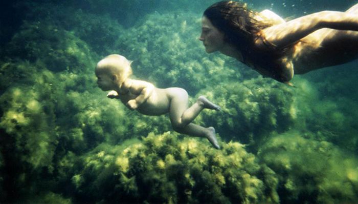 25 photos parfaites qui vont faire jubiler même les plus grands photographes