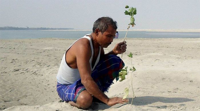 Il y a près de 40 ans, un garçon de 16 ans a commencé à planter un arbre par jour sur une île isolée, et elle est aujourd’hui méconnaissable