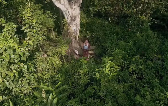Il y a près de 40 ans, un garçon de 16 ans a commencé à planter un arbre par jour sur une île isolée, et elle est aujourd’hui méconnaissable