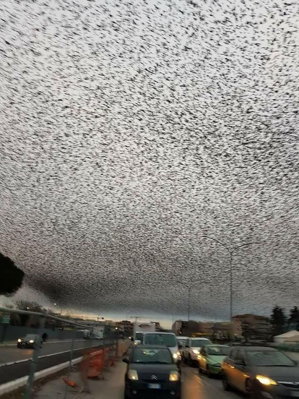 34 fois où la nature nous a fait dire « Non merci ! » (ATTENTION : cette liste est possiblement trop terrifiante pour vous)