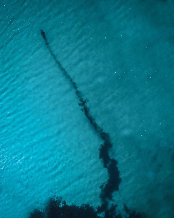 34 fois où la nature nous a fait dire « Non merci ! » (ATTENTION : cette liste est possiblement trop terrifiante pour vous)
