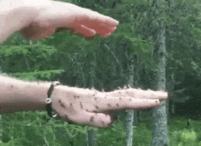 34 fois où la nature nous a fait dire « Non merci ! » (ATTENTION : cette liste est possiblement trop terrifiante pour vous)