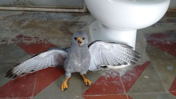 33 fois où des gens ont oublié quelque chose et ont dû faire face à des conséquences terribles, mais hilarantes