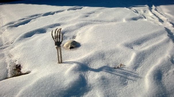 33 fois où des gens ont oublié quelque chose et ont dû faire face à des conséquences terribles, mais hilarantes