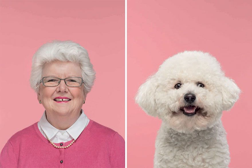 Un photographe place côte à côte 10 chiens et leurs propriétaires et la ressemblance est frappante