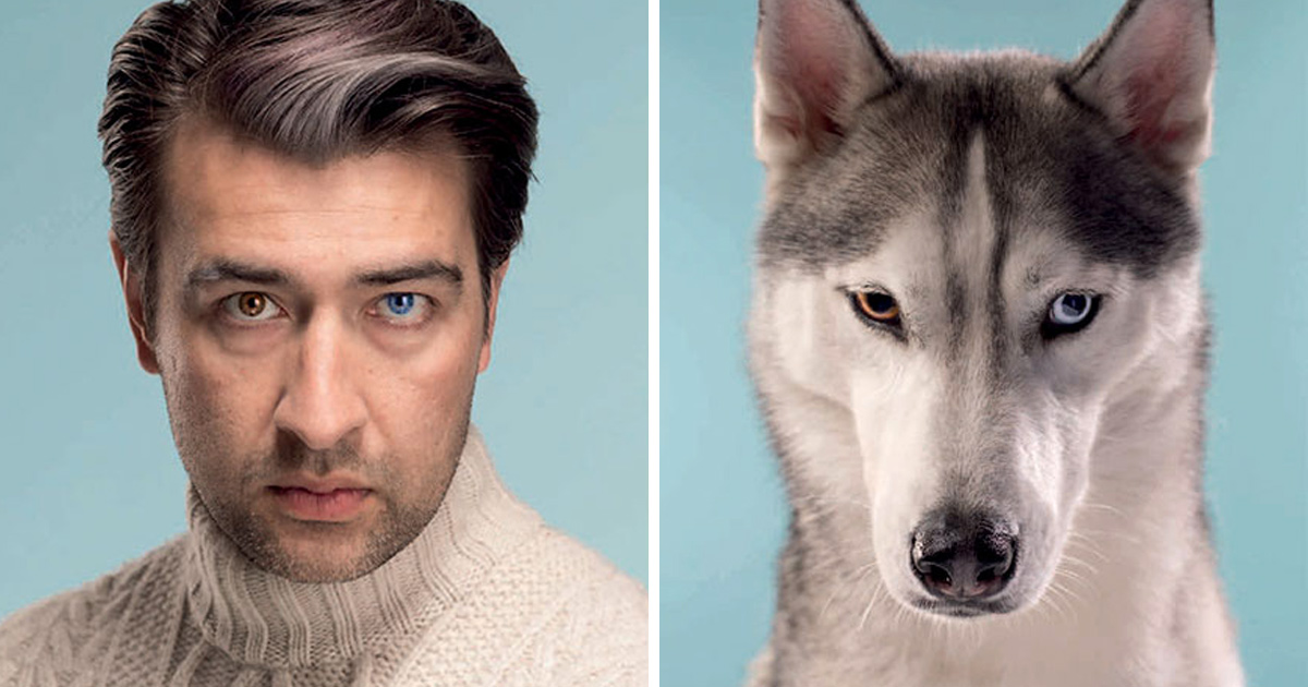 Un photographe place côte à côte 10 chiens et leurs propriétaires et la ressemblance est frappante