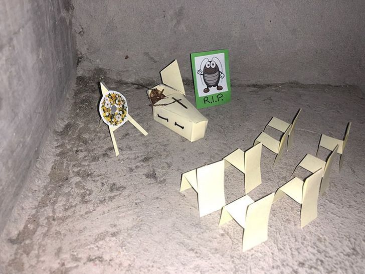 Une coquerelle meurt dans les escaliers d’un bureau et l’histoire devient de plus en plus drôle à chaque image