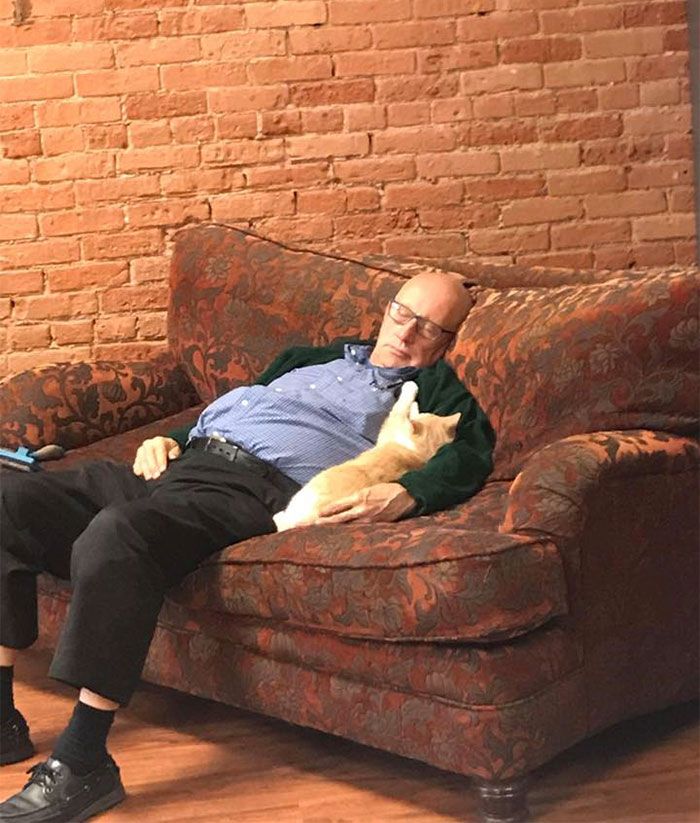 Les internautes sont en amour avec cet homme qui fait du bénévolat et fait la sieste avec des chats dans un refuge tous les jours
