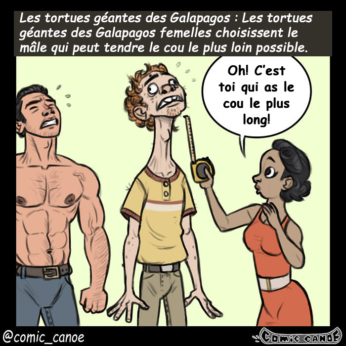 Cet artiste nous montre ce qui arriverait si les humains draguaient comme les animaux et c’est hilarant